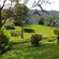 Un jardín con flores, plantas y árboles con vista a una ladera de montaña frondosa